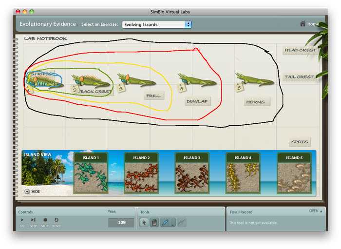 Transgenic fly virtual lab worksheet