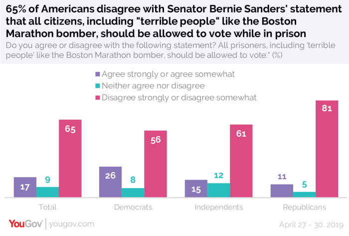 Should felons be allowed to vote essay