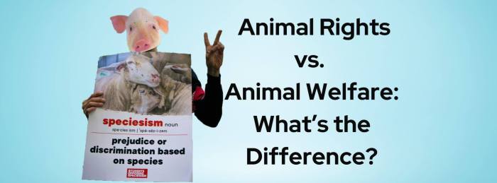 Animal rights vs animal welfare venn diagram