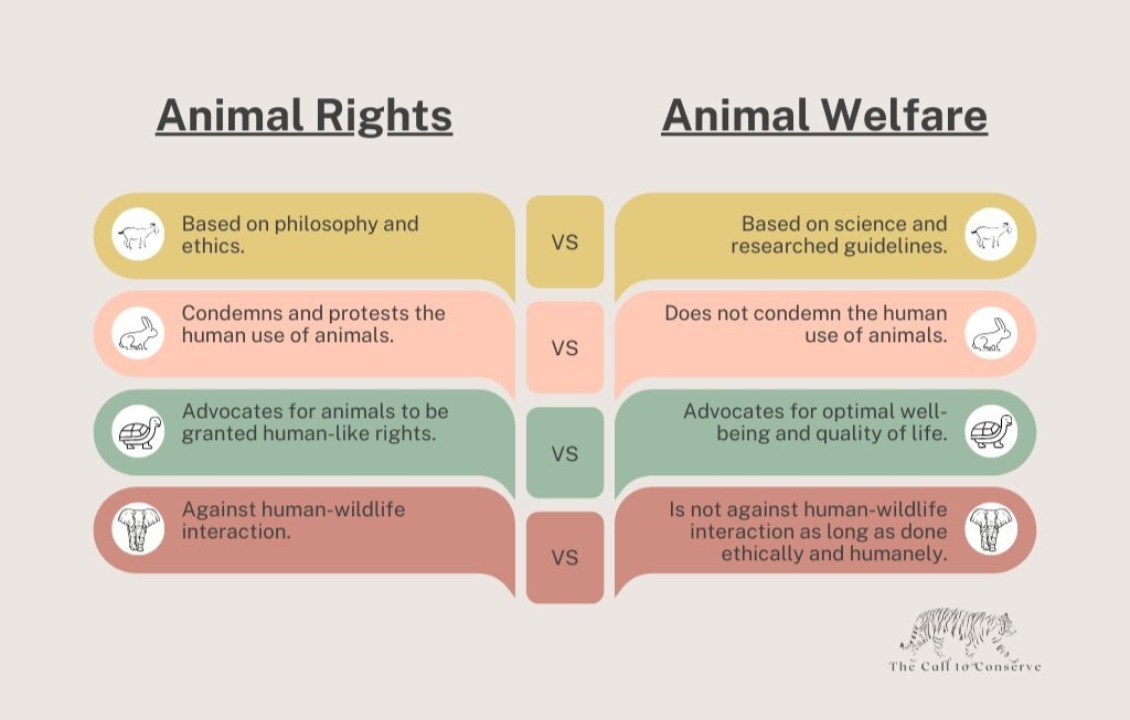 Animal rights vs animal welfare venn diagram