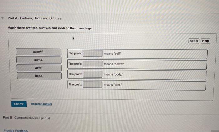 Prefixes match suffixes roots meanings these root word part their solved chegg oste problem been has