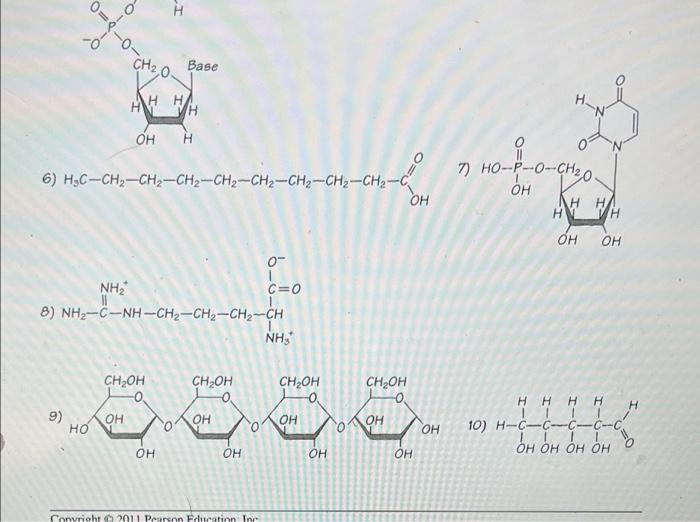 Activity 4.1/5.1 how can you identify organic macromolecules