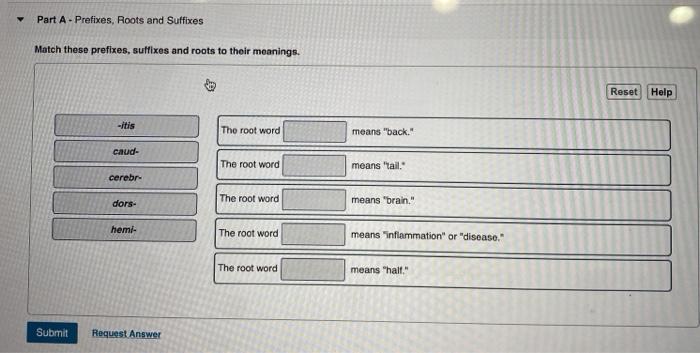 Match these prefixes and roots to their meanings