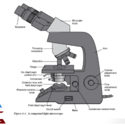 Microscope binocular microscopes microscopio biological functions lab science biology