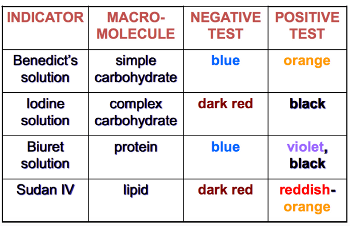 Activity 4.1/5.1 how can you identify organic macromolecules